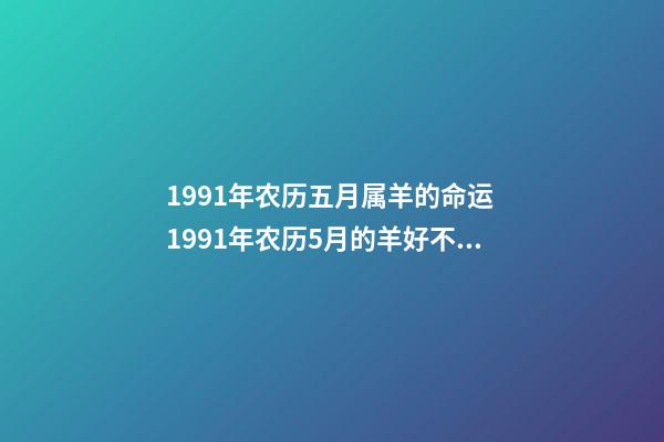 1991年农历五月属羊的命运 1991年农历5月的羊好不好，1991年属羊农历五月生好不好-第1张-观点-玄机派